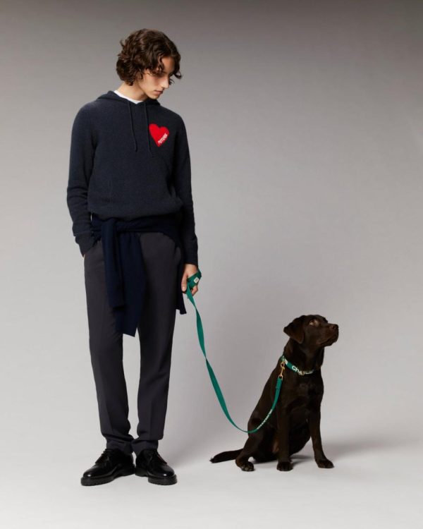 Newdesi.shopd412776fa0 3