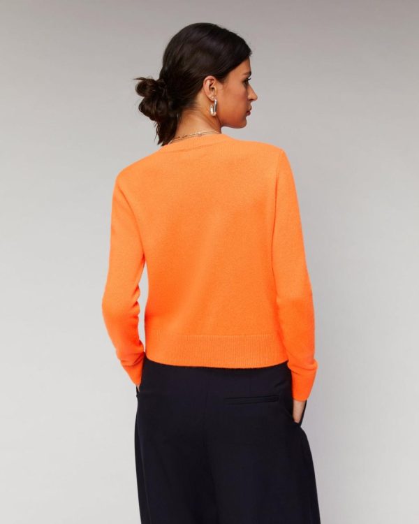 Newdesi.shopf5765f1f8a 3